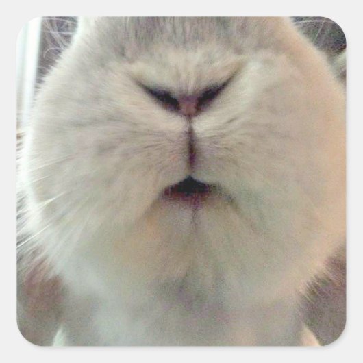 Sticker Carré Quincy Kisses (Devant)