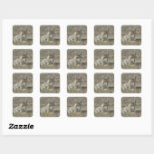 Sticker Carré R22 Coyote Couché (Feuille)