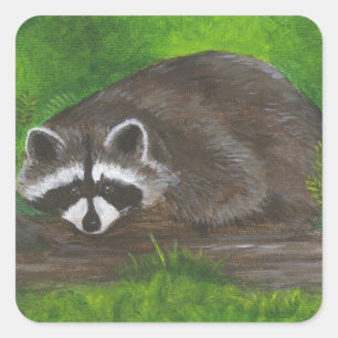 Sticker Carré Raccoon