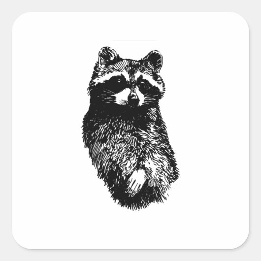 Sticker Carré Raccoon (Devant)