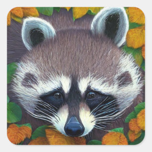Sticker Carré Raccoon mignon