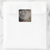 Sticker Carré Ragdoll Chat Kitten Design original (Sac)