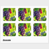 Sticker Carré Raisins (Feuille)
