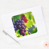 Sticker Carré Raisins (Enveloppe)