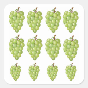 Sticker Carré Raisins verts