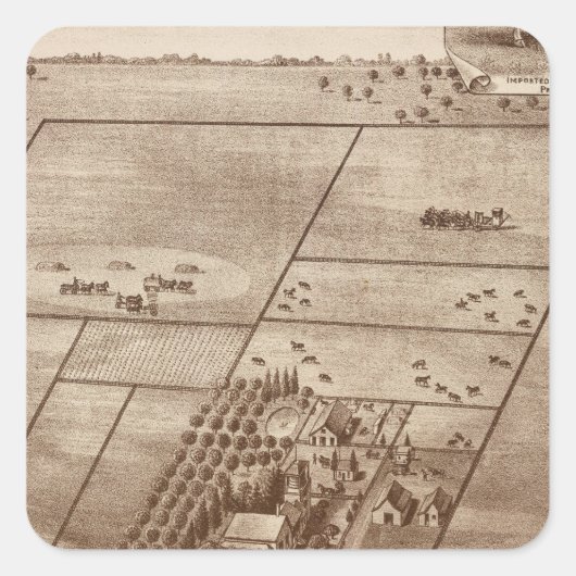 Sticker Carré ranch Bertch (Devant)