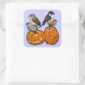 Sticker Carré Rapaces Birdables sur les Citrouilles (Sac)