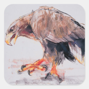 Sticker Carré Raptor 2001