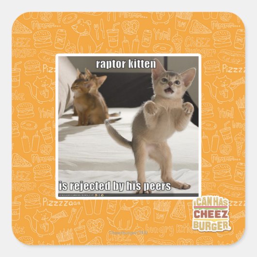 Sticker Carré Raptor Kitten (Devant)