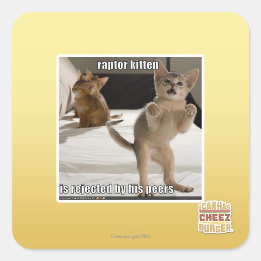 Sticker Carré Raptor Kitten (Devant)