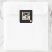 Sticker Carré Raptor Kitten (Sac)