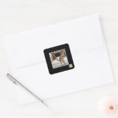 Sticker Carré Raptor Kitten (Enveloppe)