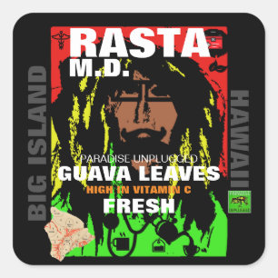 STICKER CARRÉ RASTA M.D. FEUILLES GUAVA FRAIS