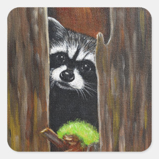 Sticker Carré Raton laveur dans un arbre peinture