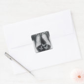 Sticker Carré rayons X de papillons dans l'estomac (Enveloppe)