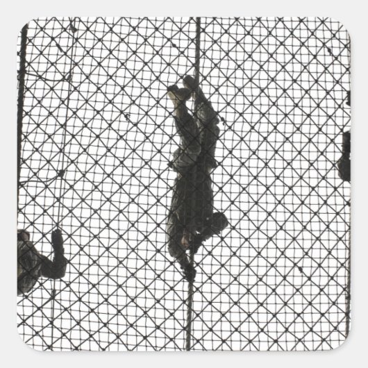 Sticker Carré recrues accomplissant un obstacle (Devant)