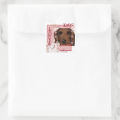 Sticker Carré Red Dachshund (Sac)