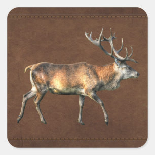 Sticker Carré Red Deer Stag Animaux sauvages Design