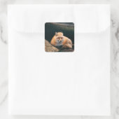 Sticker Carré Red Fox dormant (Sac)
