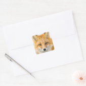 Sticker Carré Red Fox Portrait (Enveloppe)
