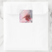 Sticker Carré Red Grasshawk (Sac)