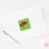 Sticker Carré Red Poison Dart Frog (Enveloppe)
