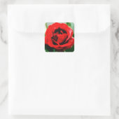 Sticker Carré Red Rose Love (Sac)