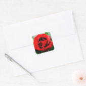 Sticker Carré Red Rose Love (Enveloppe)