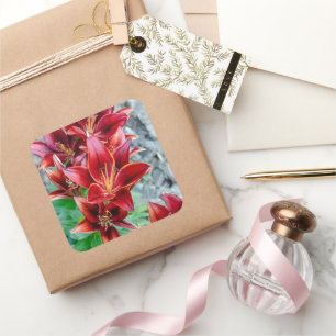 Sticker Carré Red Stargazer Lily Flower, Photographie canadienne