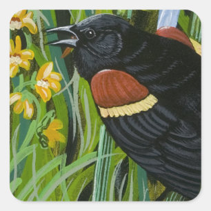 Sticker Carré Red Wing Blackbird