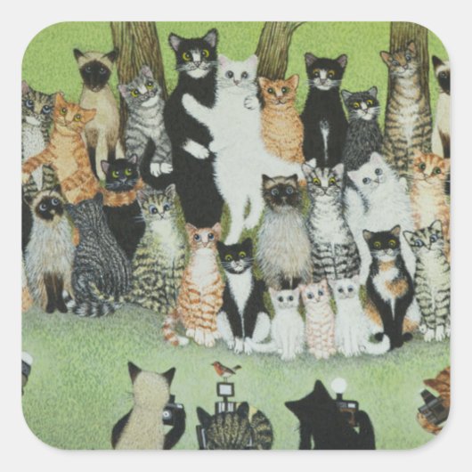 Sticker Carré Regardez la Birdie (Devant)