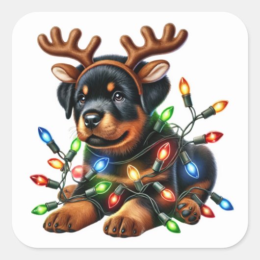 Sticker Carré Reindeer Rottie Sauve Noël ! (Devant)