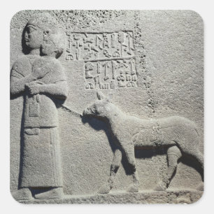 Sticker Carré Reine Tuwarissa, épouse du roi Araras