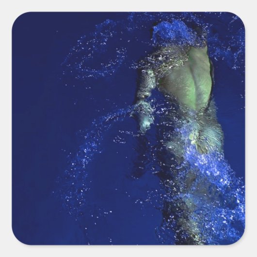 Sticker Carré Relais solo (Devant)