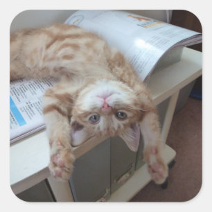 Sticker Carré Relaxation de Kitty