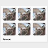 Sticker Carré Relaxation de Kitty (Feuille)