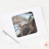 Sticker Carré Relaxation de Kitty (Enveloppe)