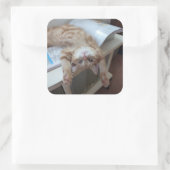 Sticker Carré Relaxation de Kitty (Sac)