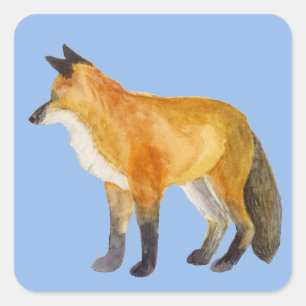 Sticker Carré Renard rouge