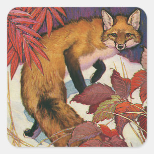 Sticker Carré Renard rouge créatures forestières vintage animal