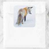 Sticker Carré Renard rouge en hiver (Sac)