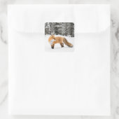 Sticker Carré Renard rouge en neige blanche (Sac)