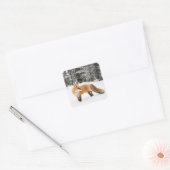 Sticker Carré Renard rouge en neige blanche (Enveloppe)