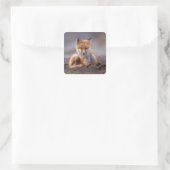 Sticker Carré renard rouge, Vulpes vulpes, chiot se grattant, (Sac)