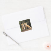 Sticker Carré Renardeau devant terrier (Vulpes vulpes) (Enveloppe)