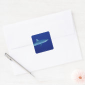 Sticker Carré Requin (Enveloppe)