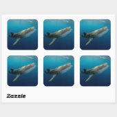 Sticker Carré Requin Baleine en plongée (Feuille)