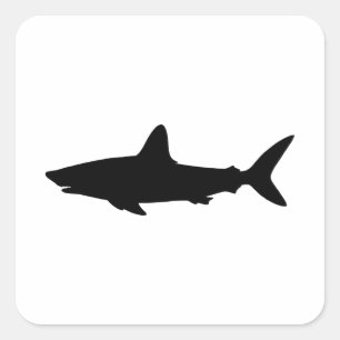 Sticker Carré Requin nageant