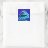 Sticker Carré Requin tigre (Sac)