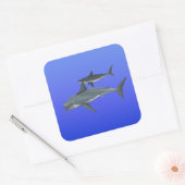 Sticker Carré Requins (Enveloppe)